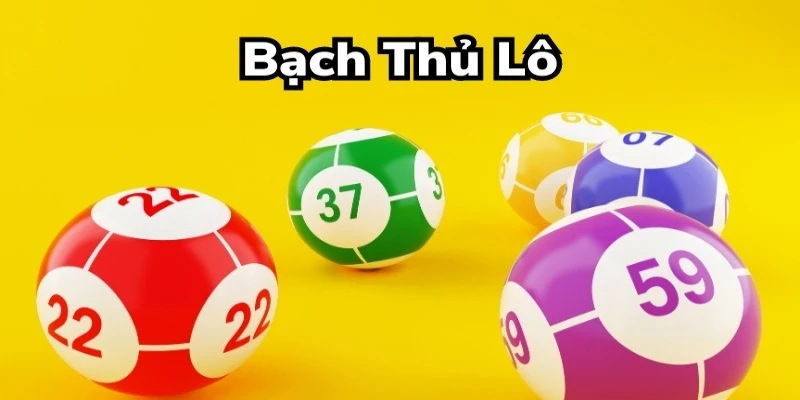 Bạch thủ lô miền Trung thú vị